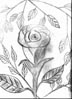 [rose thumnail image]